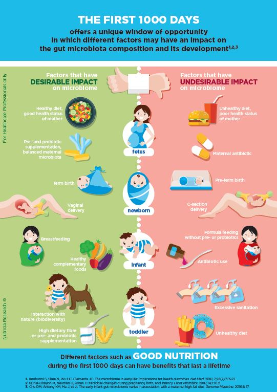 Key Factors In The First 1000 Days That Shape Our Gut Microbiota