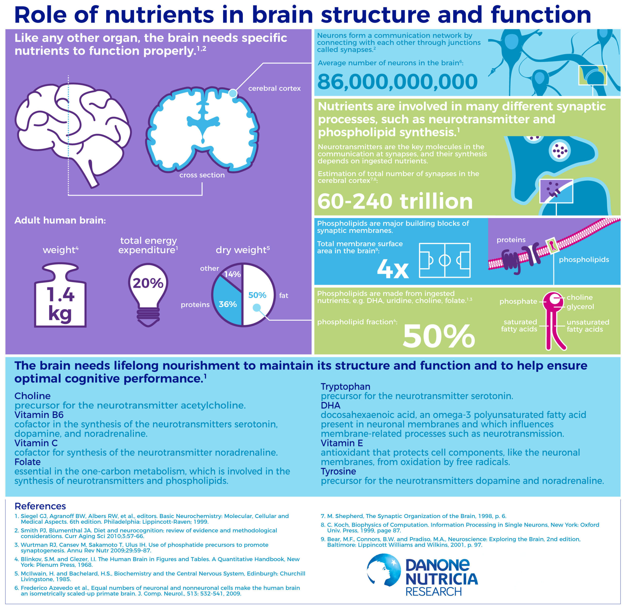 Role Of Nutrients In Brain Structure And Function Danone Nutricia role-of-nutrients-in-brain-structure-and-function-danone-nutricia