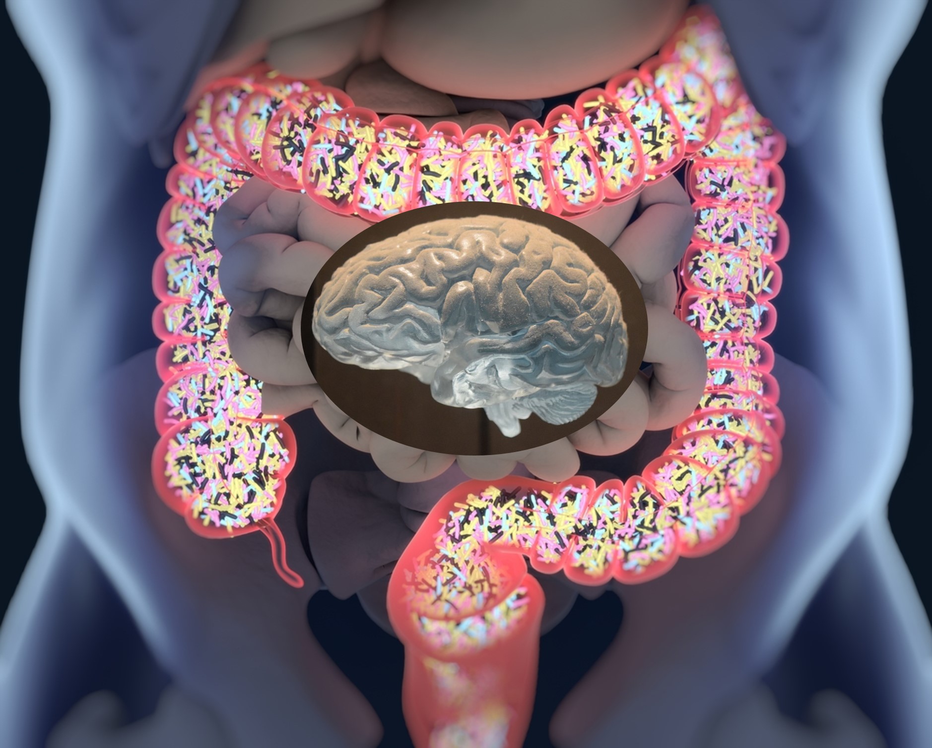 Targeting The Gut Microbiota To Influence Brain Development And